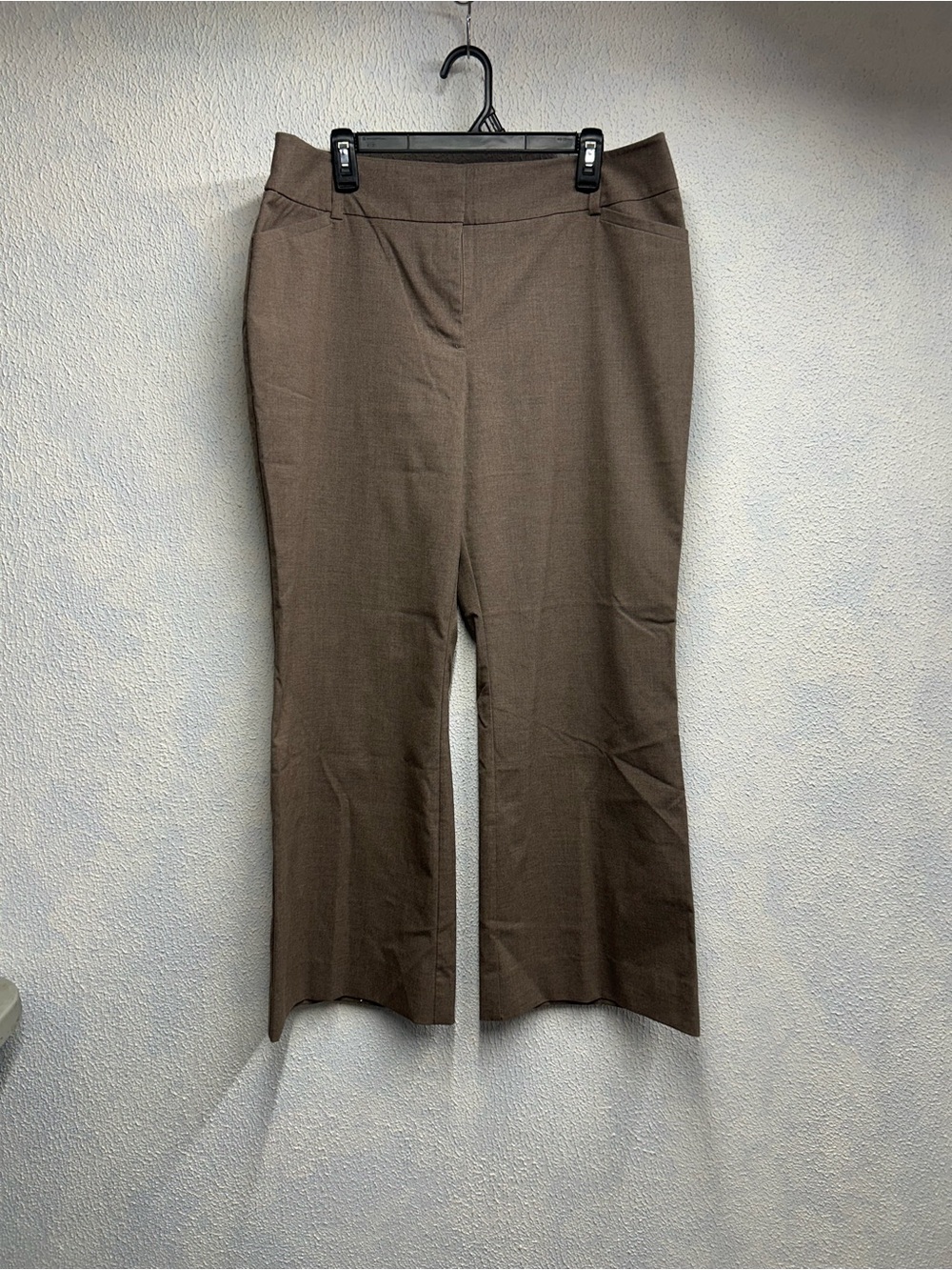 Ann Taylor Brown Boot Cut Pull-On Pants